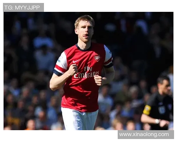 阿跟延足球明星的传奇之路与辉煌成就探秘