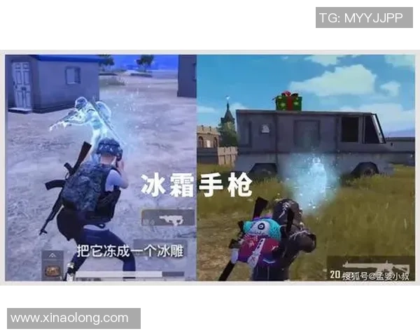 张芳独家：分享和平精英心得